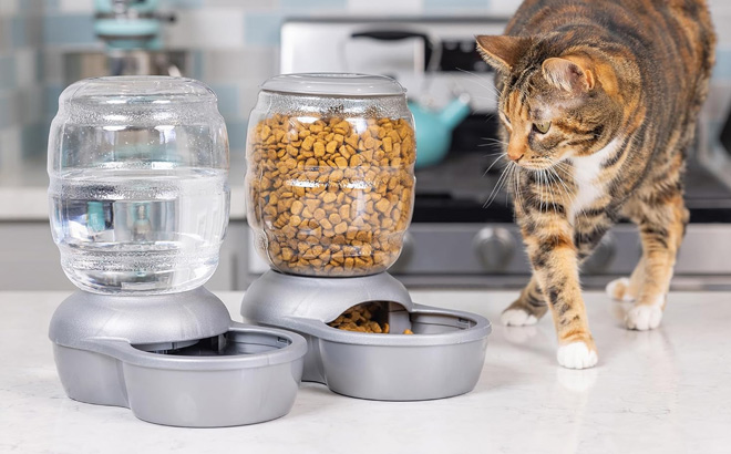Petmate Replendish Automatic Gravity Waterer