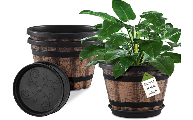 Quarut Whiskey Barrel Planters 3 Pack