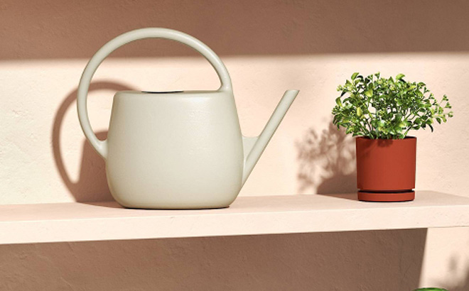 Room Essentials 1 Gallon Plastic Watering Can