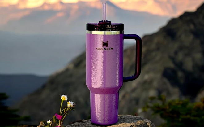 Stanley 40 Ounce Quencher H2 0 Tumbler in Hammertone Lilac