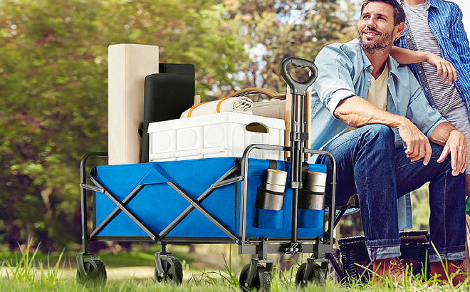 Sweetcrispy Large Collapsible Foldable Wagon Cart