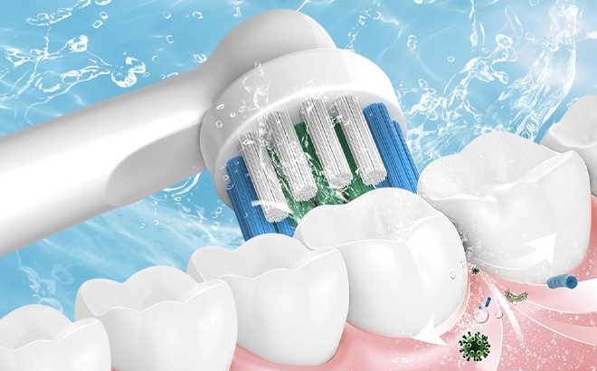 Toothbrush Replacement Head