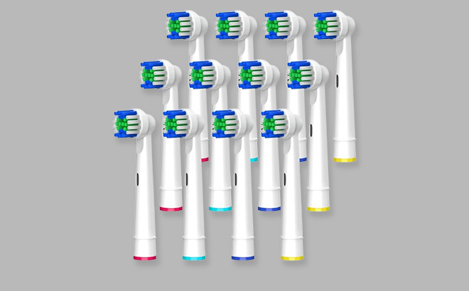 Toothbrush Replacement Heads 12 Pieces on Gray Background