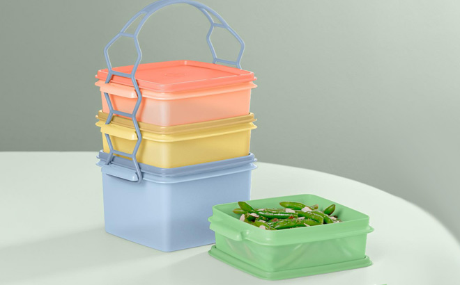 Tupperware 9 piece Carry All Sheer Stackable Container Set