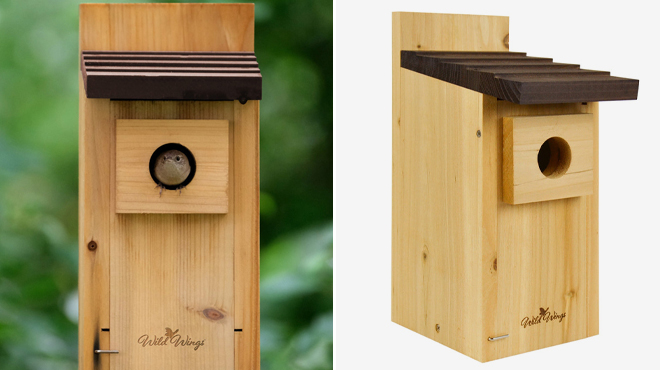 Wild Wings Bird Box House