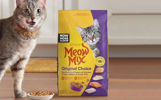 A 3 15 pound Bag of Meow Mix Original Choice Dry Cat Food on a Floor next to a Cat