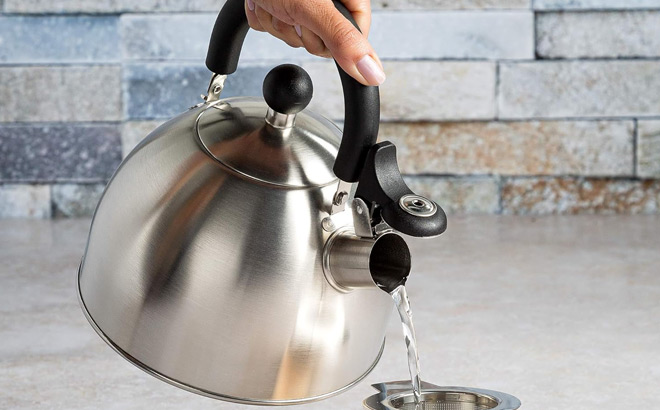 A Person Holding Tea Kettle
