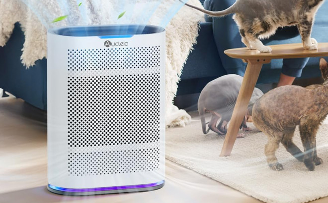 Air Purifier