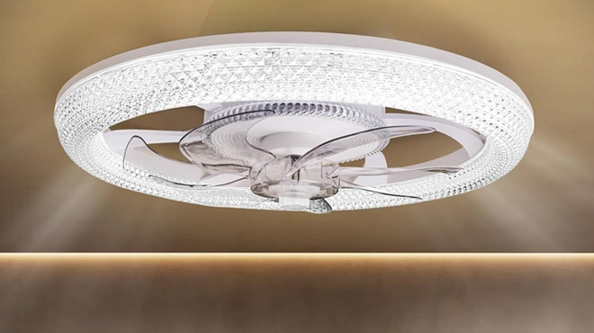 CGSGDK Ceiling Fan with Lights