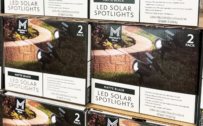Members Mark Matte Black LED Solar Spot Lights 2Pack