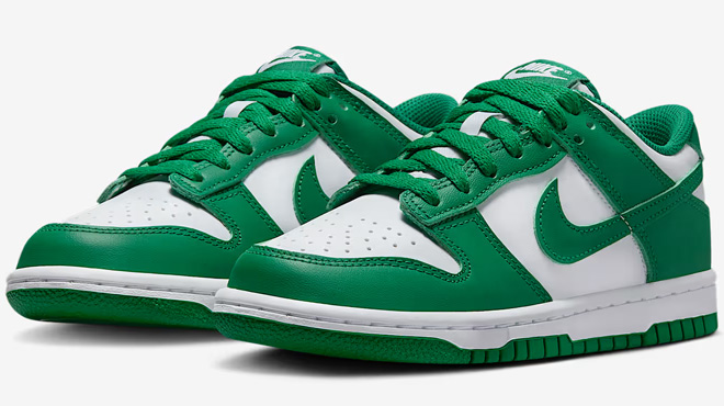 Nike Dunk Low Kids Shoes