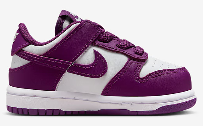 Nike Dunk Low Toddler Shoes Nike Dunk Low Toddler Shoes