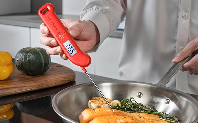 Professional Meat Thermometer Digital