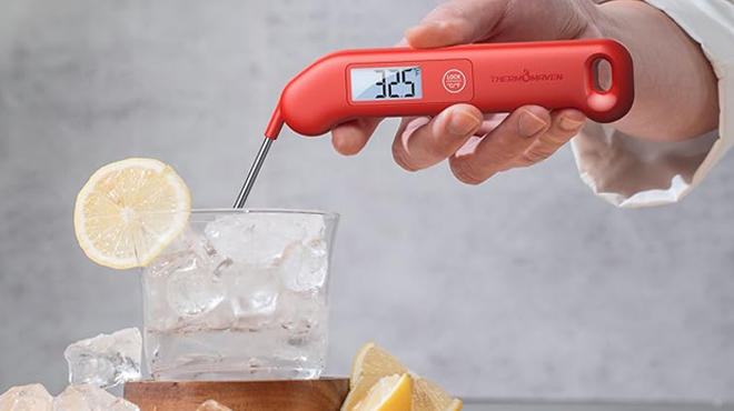 Professional Meat Thermometer