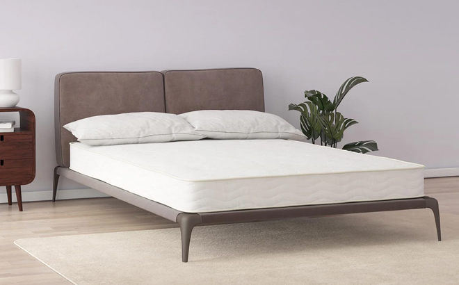 Signature Sleep Solace 6 Inch Spring Mattress in a Box Signature Sleep Solace 6 Inch Spring Mattress in a Box
