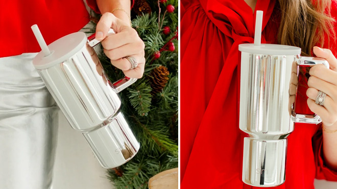 Simple Modern 30 Ounce Insulated Stainless Steel Trek Tumbler