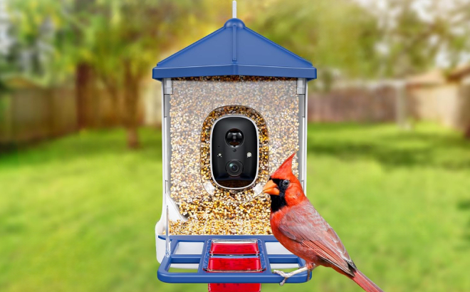 Smart Bird Feeder with Camera 1