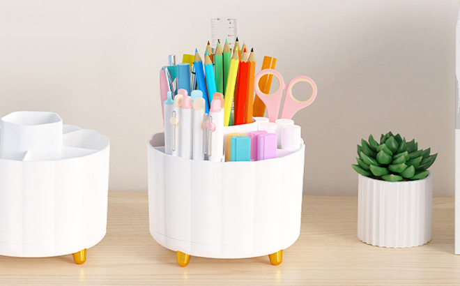 360 Rotating Organizer