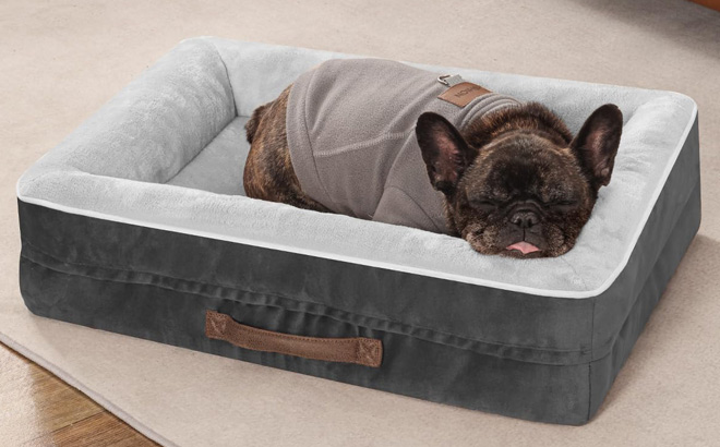 A Dog Sleeping on an Upvilla Pet Bed