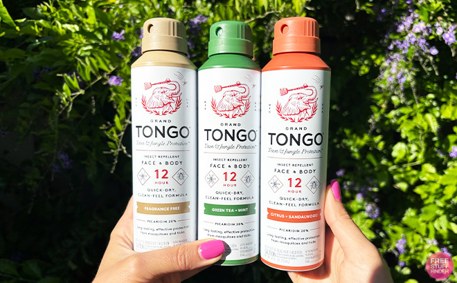 A Person Holding Three Insect Sprays