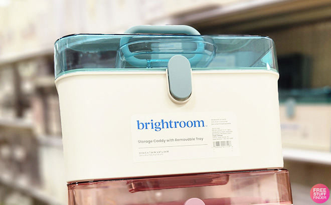 Brightroom Lidded Storage Caddy in Blue Color Brightroom Lidded Storage Caddy in Blue Color