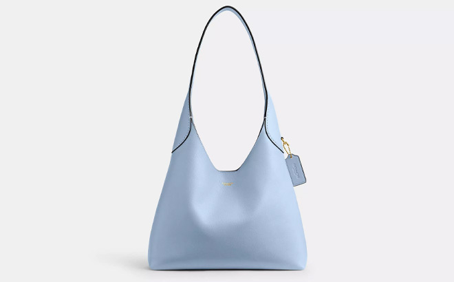 Coach Brooklyn Shoulder Bag