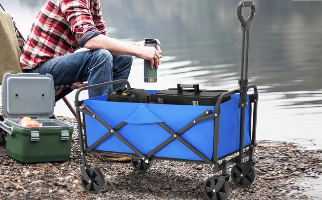 Collapsible Foldable Wagon