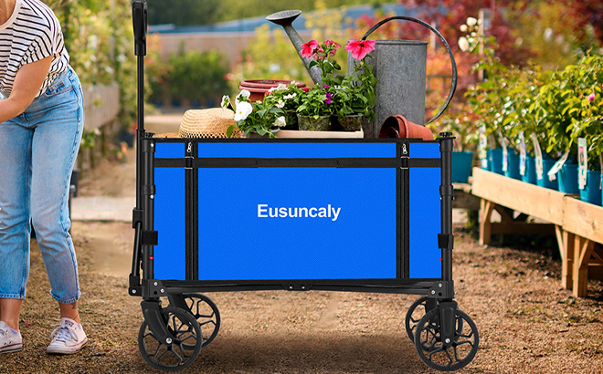Collapsible Wagon with Wheels in the Garden
