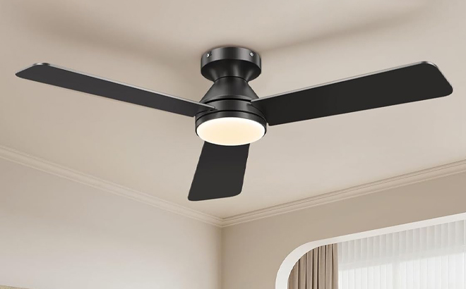 Dgguo Ceiling Fan with Lights on a Ceiling