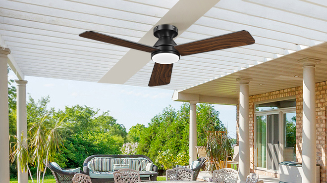 Dgguo Ceiling Fan with Lights