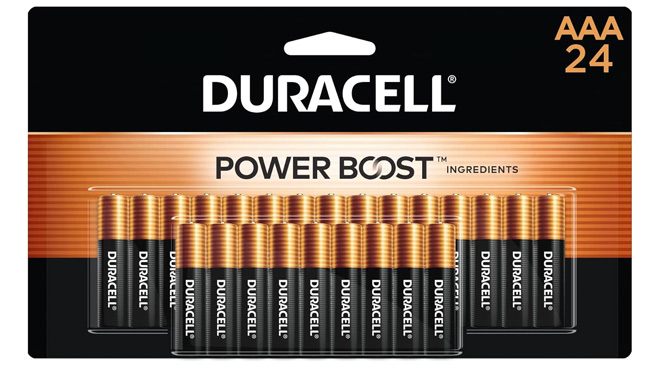 Duracell 24 Count AAA Batteries