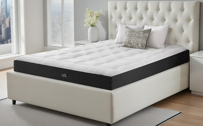 EDX 8 Inch King Foam Mattress