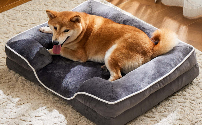 Edx Medium Orthopedic Dog Bed