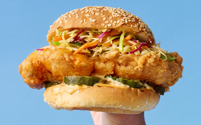 Fried Chicken Sandwitch Fried Chicken Sandwitch