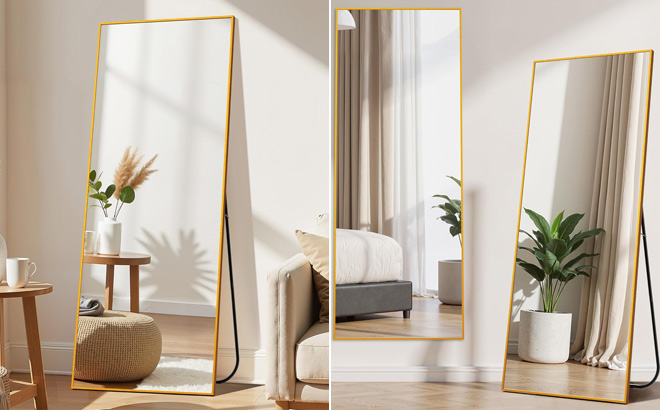 Full Length Mirror