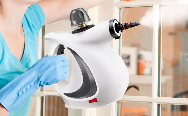 Haripul Portable Handheld Steam Cleaner Haripul Portable Handheld Steam Cleaner