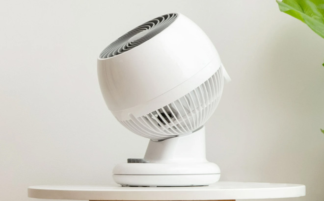 IRIS WOOZOO Oscillating Fan