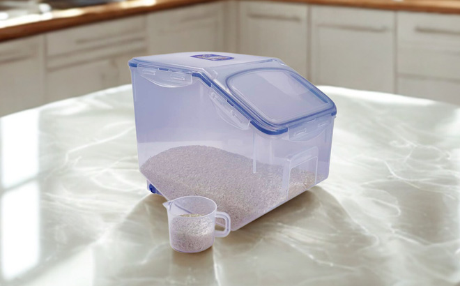 Lock and Lock Food Storage Container