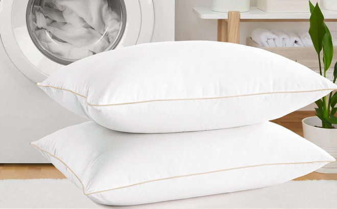 Mislili Queen Size Pillow 2 Pack