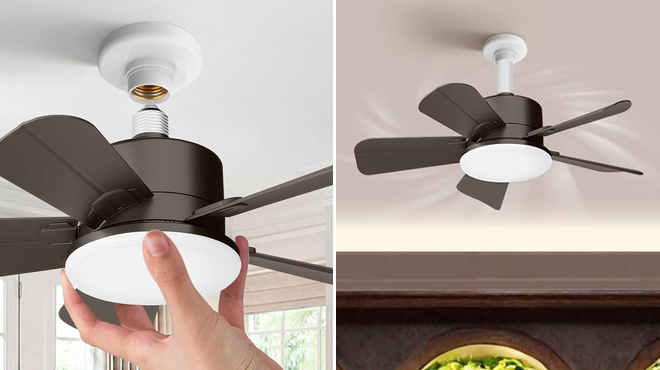 Okyuk Ceiling Fan with Light