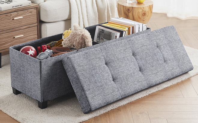 Ornavo Home Large Collapsible Storage Ottoman