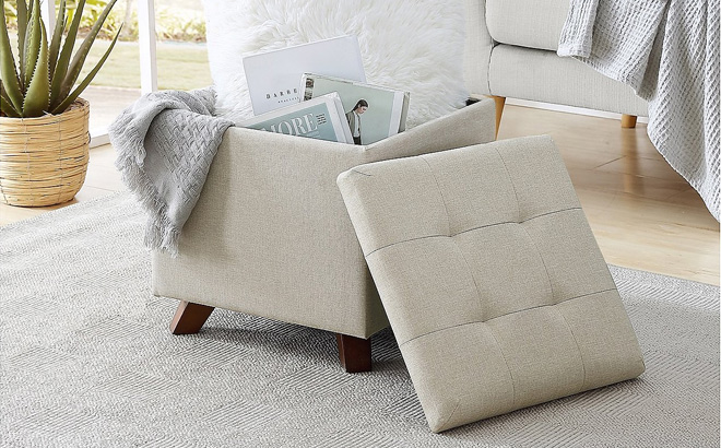 Ornavo Home Storage Ottoman