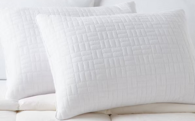 Room Essentials 2 Pack Plush Knit Bed Pillows
