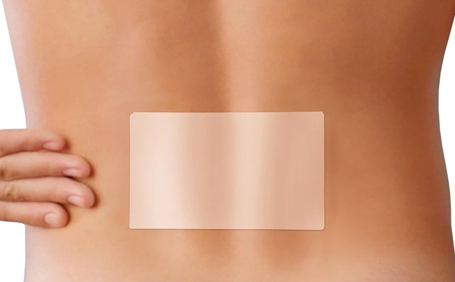 Salonpas Pain Relieving Patch