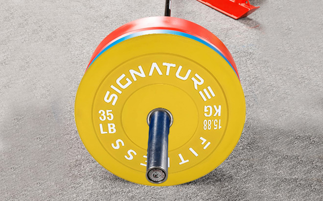35 Pound Bumper Plate