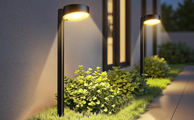 Ahaorigin Solar Pathway Lights 8 Pack