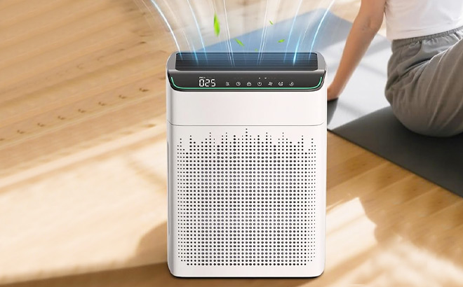 Air Purifier for Large Room