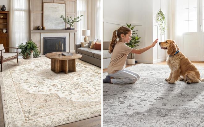 Amada 9x12 Vintage Area Rug 1 Amada 9x12 Vintage Area Rug 1