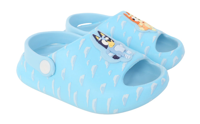 Bluey Kids Comfort Slides