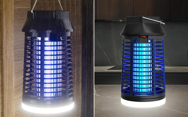 Bug Zapper Bug Zapper